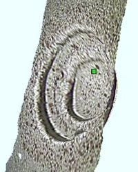 Reconstrucción topográfica 3D texturizada de una superficie metálica cilíndrica mostrando un defecto de picadura, capturada por el videoscopio IPLEX NX para la inspección visual en aviación.